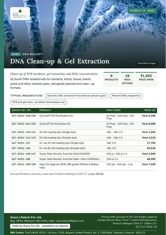 DNA Biology — flyer 5 of 9