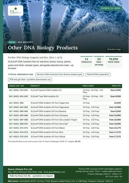 DNA Biology — flyer 6 of 9