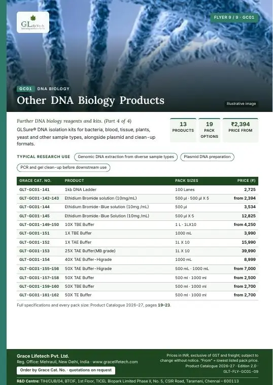 DNA Biology — flyer 9 of 9