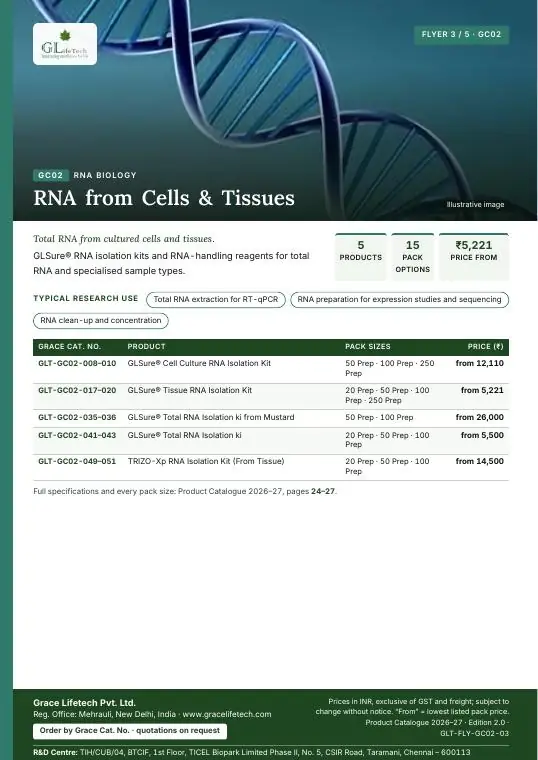 RNA Biology — flyer 3 of 5