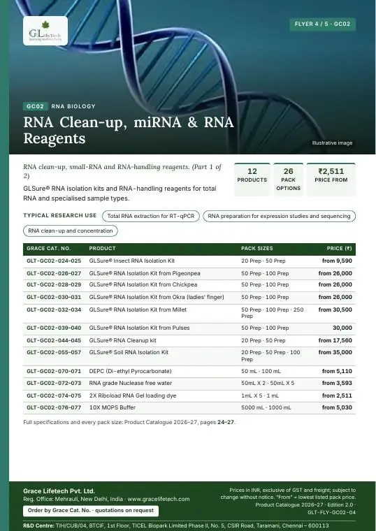 RNA Biology — flyer 4 of 5