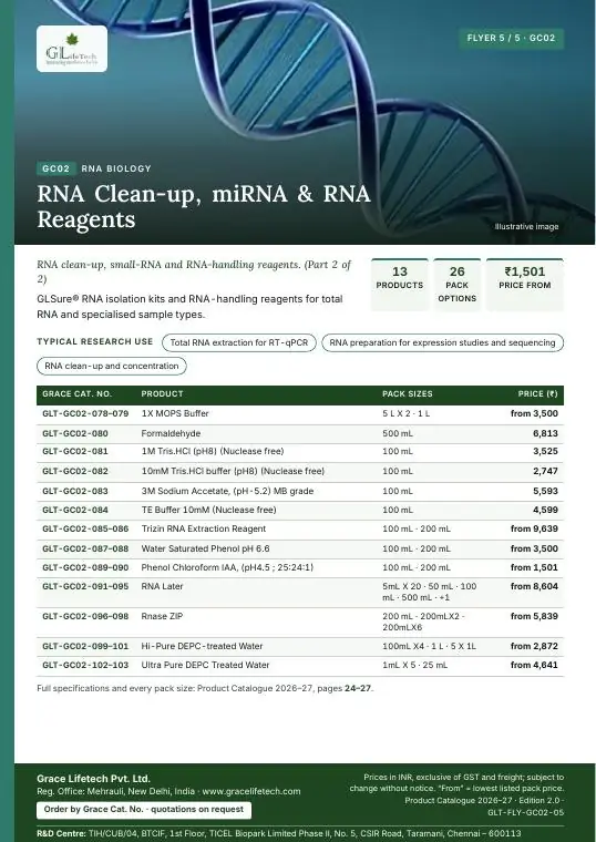 RNA Biology — flyer 5 of 5