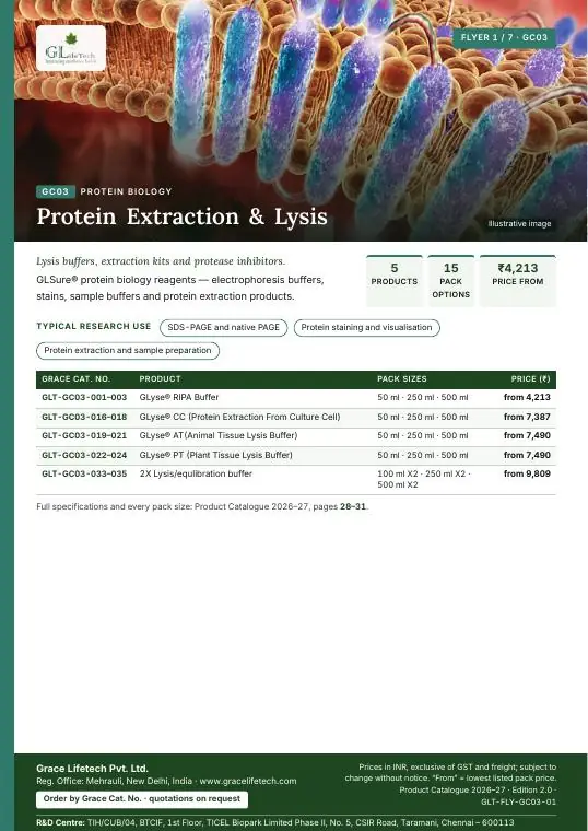 Protein Biology — flyer 1 of 7