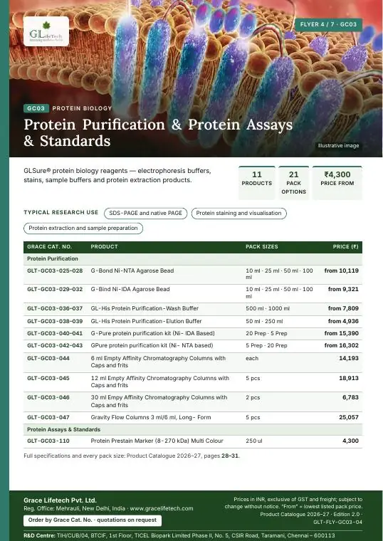 Protein Biology — flyer 4 of 7