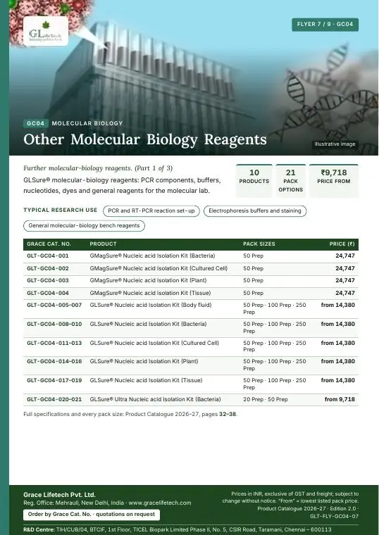 Molecular Biology — flyer 7 of 9