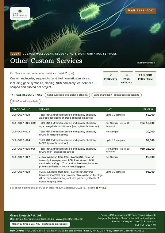 Custom Molecular, Sequencing & Bioinformatics Services — flyer 7 of 12