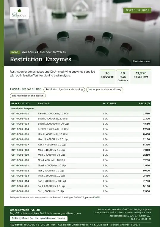 Molecular Biology Enzymes — flyer 1 of 8