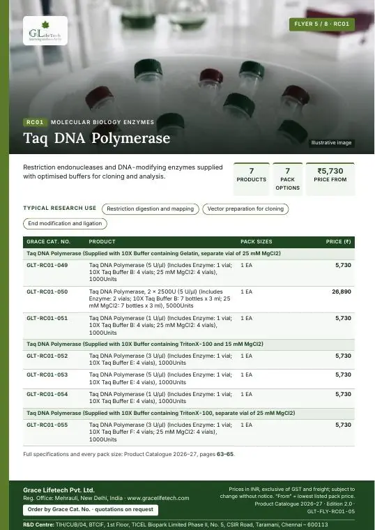 Molecular Biology Enzymes — flyer 5 of 8