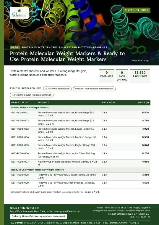 Protein Electrophoresis & Western Blotting Reagents — flyer 1 of 4