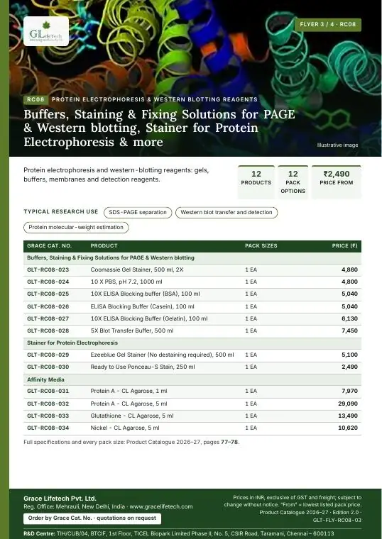 Protein Electrophoresis & Western Blotting Reagents — flyer 3 of 4