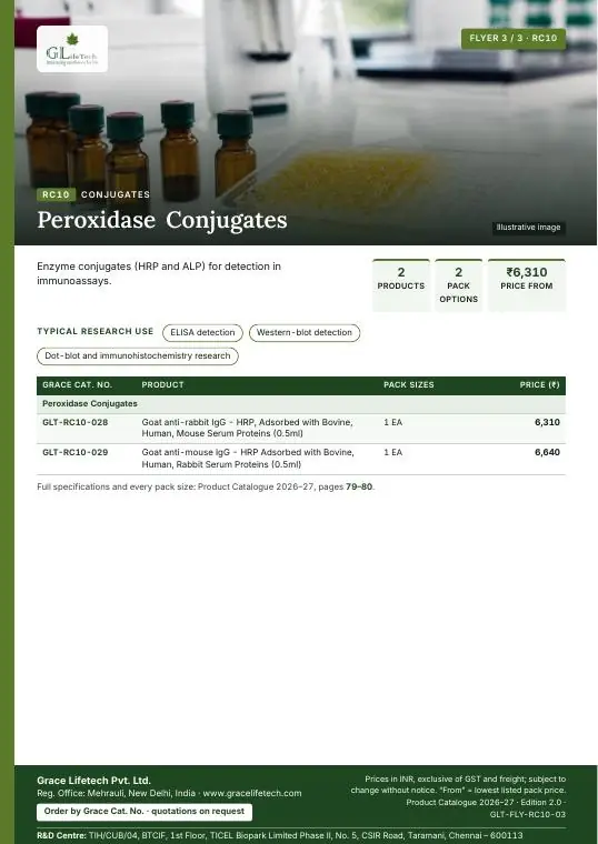 Conjugates — flyer 3 of 3