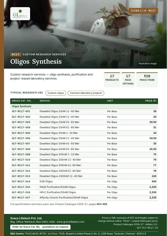 Custom Research Services — flyer 1 of 6