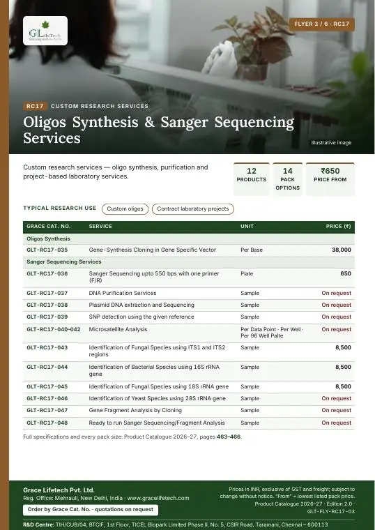 Custom Research Services — flyer 3 of 6