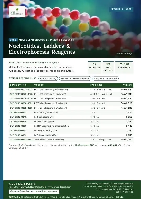 Molecular Biology Enzymes & Reagents — flyer 2 of 3