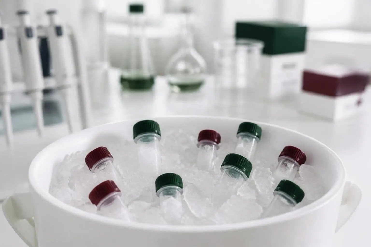 Molecular Biology Enzymes