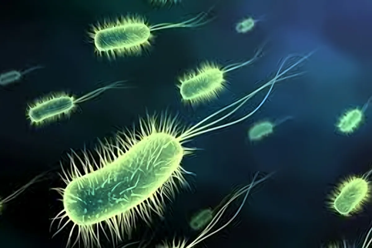 Custom Molecular, Sequencing & Bioinformatics Services