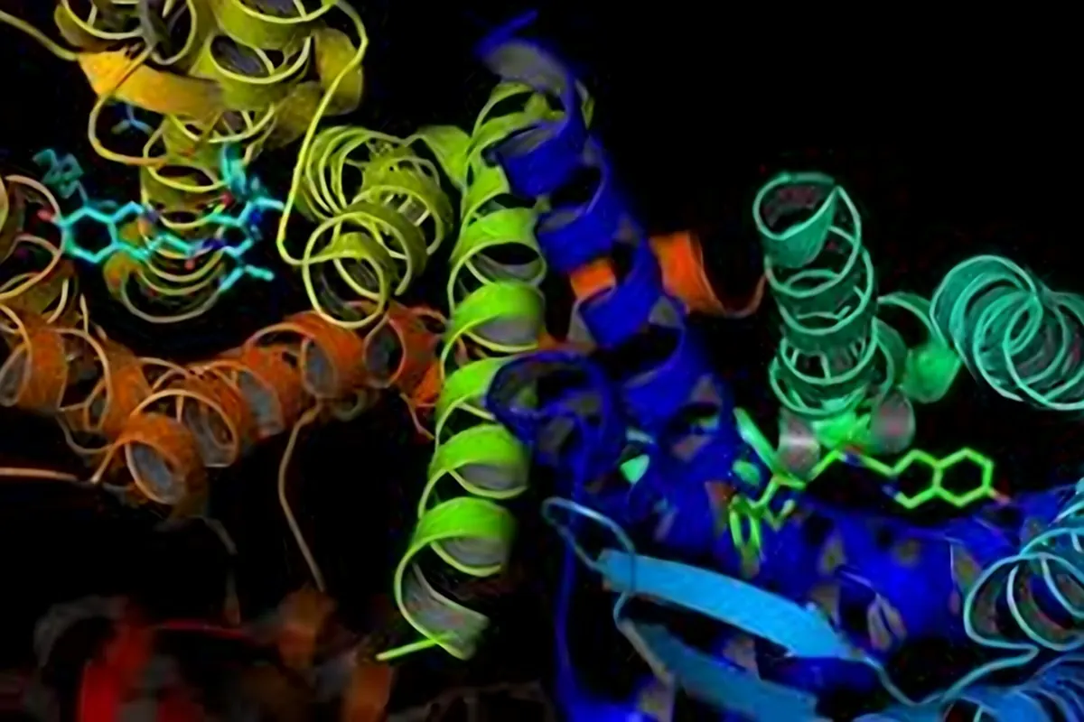 Protein Electrophoresis & Western Blotting Reagents